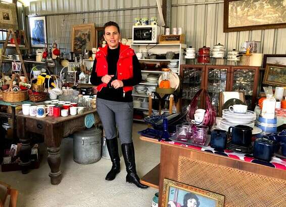 מאירה צור, "החצר האחורית" // צילום: מאיה דרין